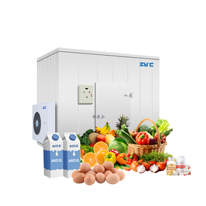 Cold Storage Room / Walk-in Freezer