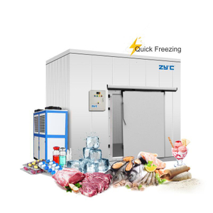 Blast Freezer Quick Freezing Cold Room