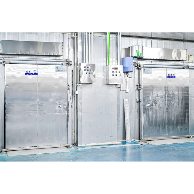 Cold Room Polyurethane Sliding Door