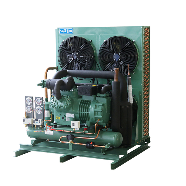 Low Temperture 2-Stage Semi-Hermetic Reciprocating Compressor Condensing Unit