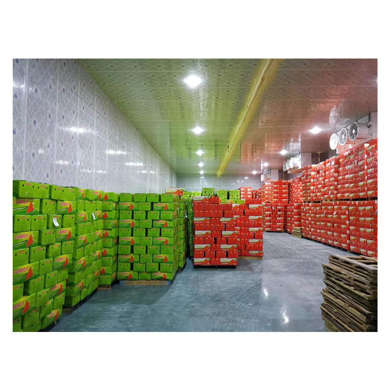 What Are The Ideal Conditions of A Cold Storage Room?