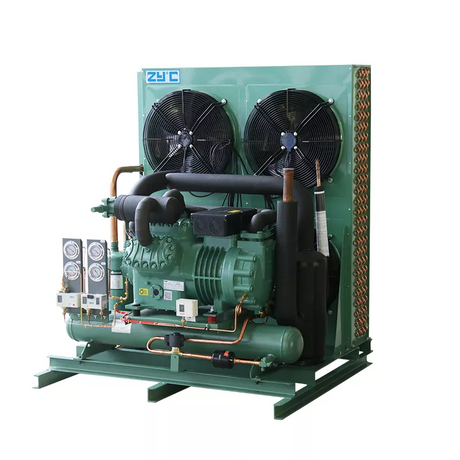 Unlocking Extreme Cold_ The Power and Efficiency of Our 2-Stage Semi-Hermetic Condensing Units.png